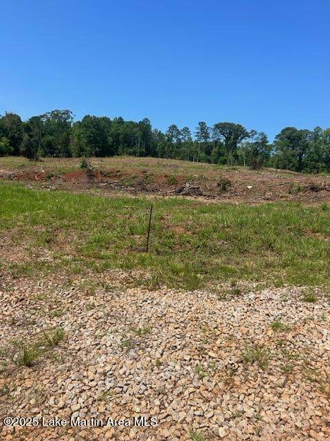 6476 Hwy 49 S - Photo 1