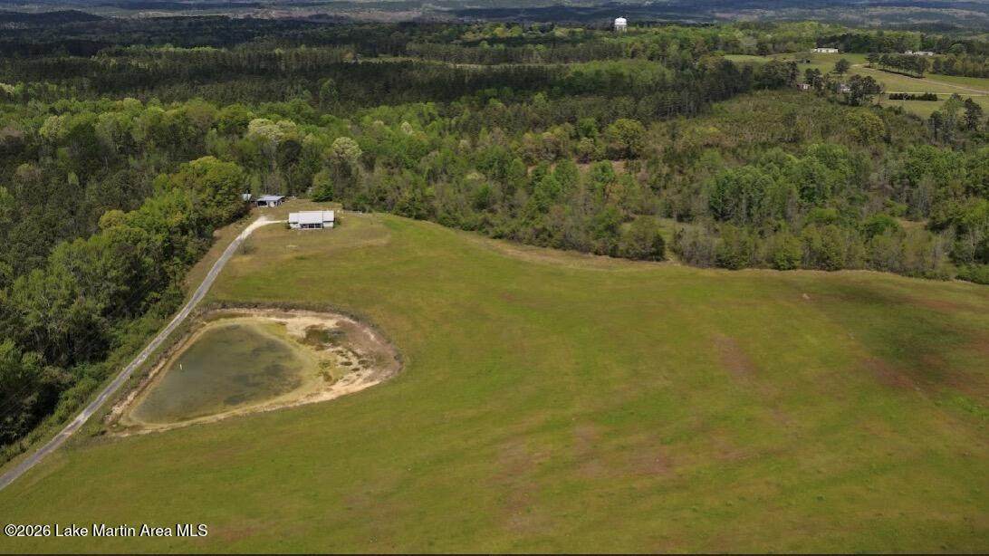 17.66 Acres Lovelady  Road - Photo 1