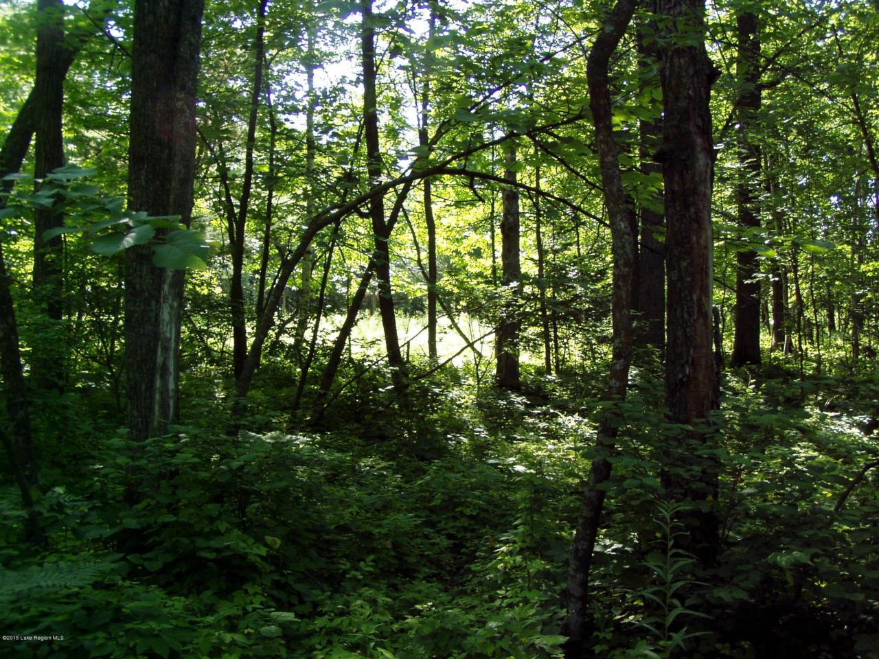 Lot 8 B-1 Falling Leaf Trail - Photo 1