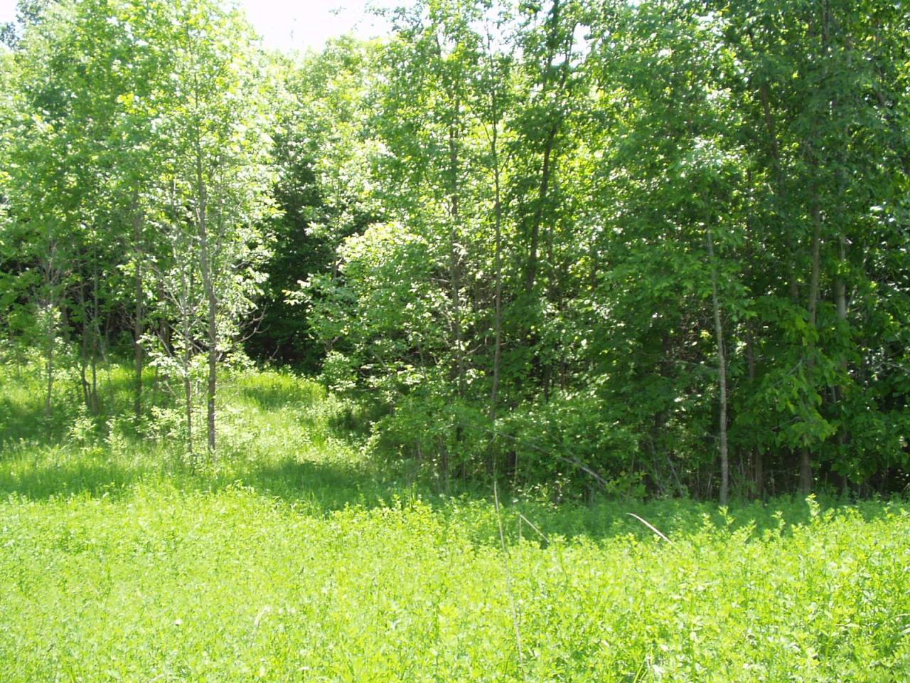 Lot11 Bk 1 Stalker Road - Photo 1