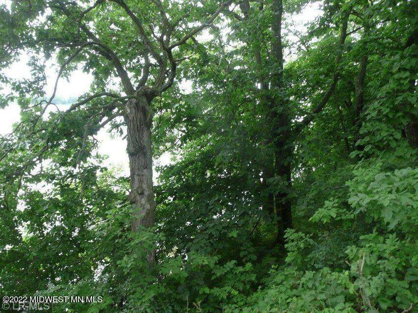 Lot 9 Wildwood Road - Photo 1