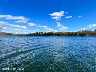 21855 Pickerel Lake Road - Photo 1