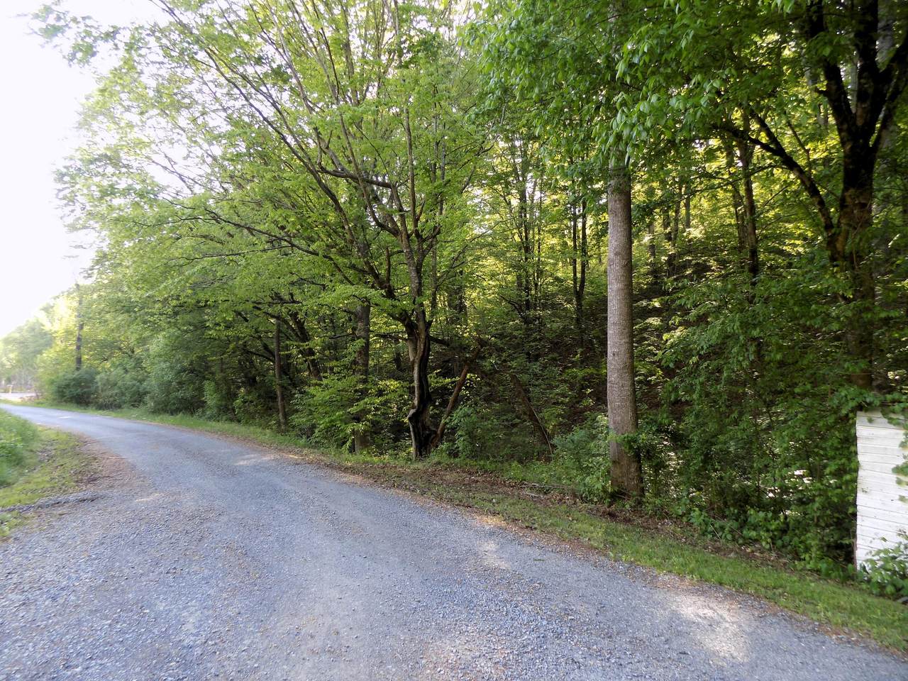 Par 023.04 Driftwood Road - Photo 1