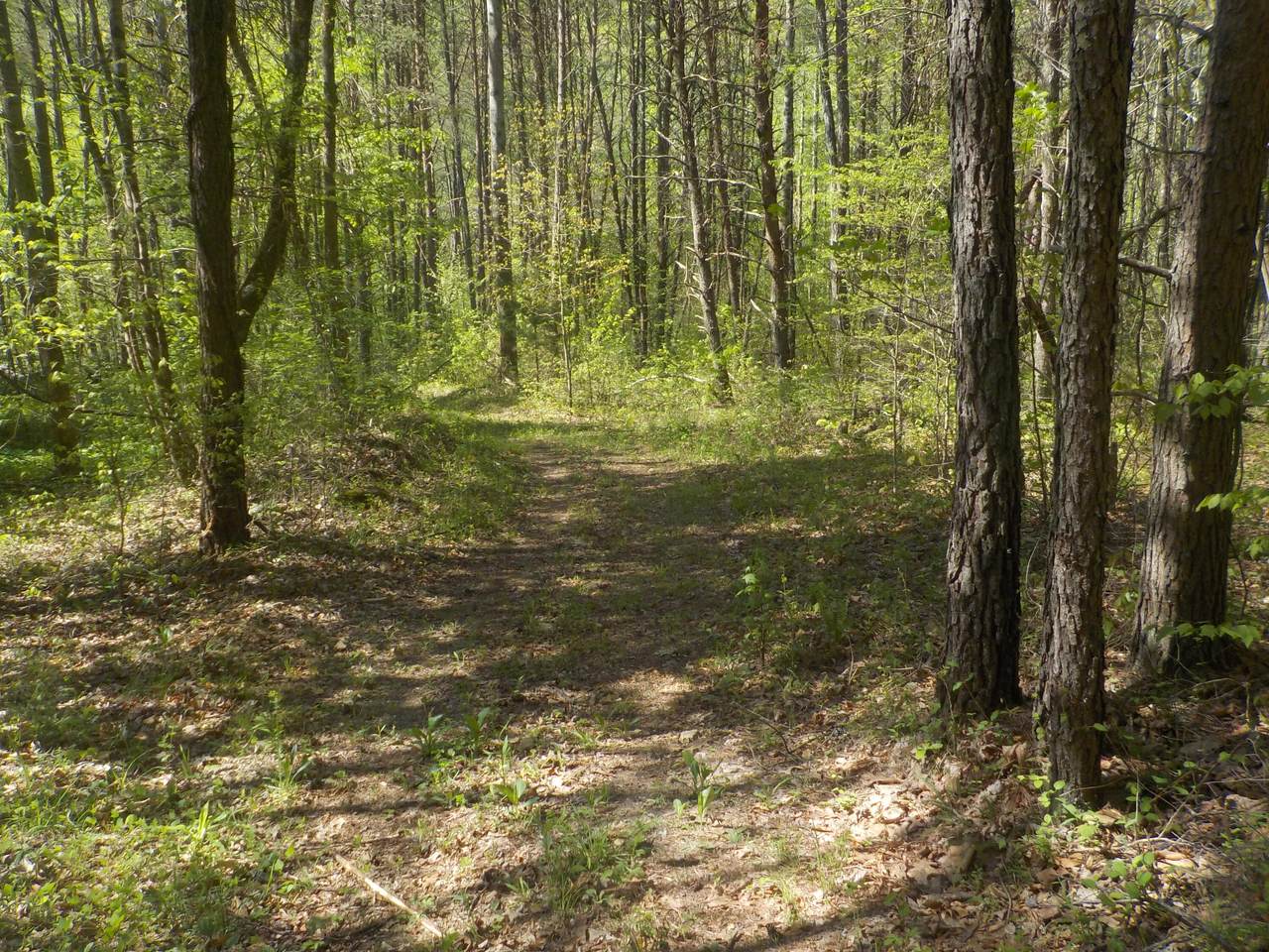 https://bt-photos.global.ssl.fastly.net/lakeway/1280_boomver_1_703547-2.jpg