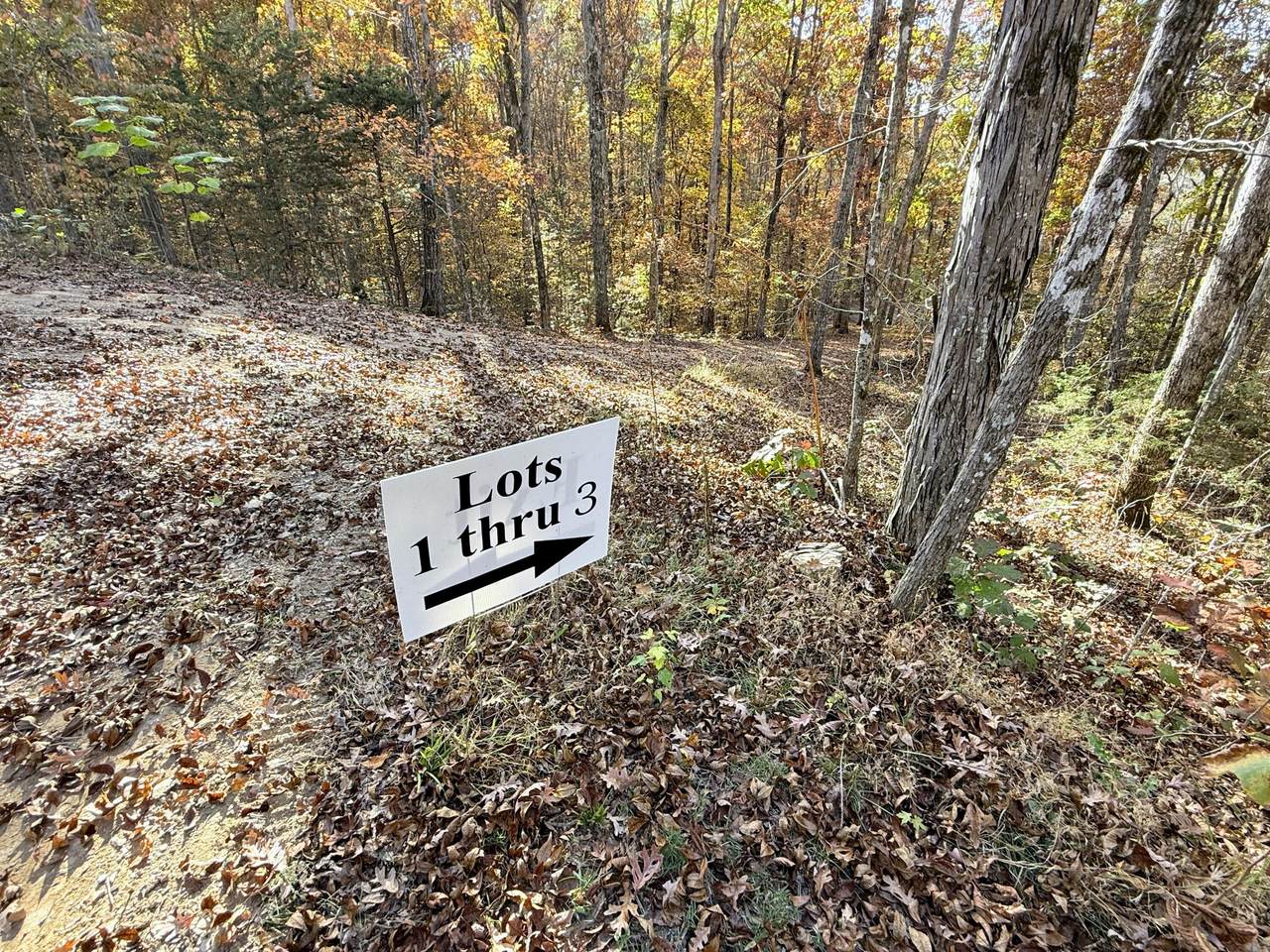 Tracts 1-3 Topaz Way - Photo 1