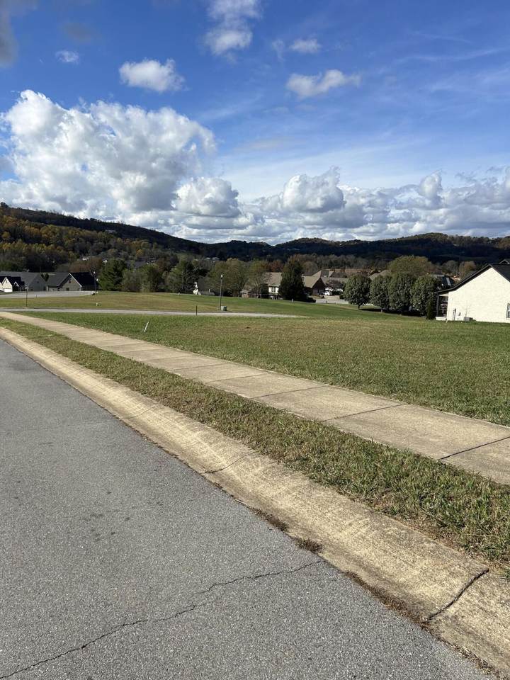 Lot 35 Lochmere Greene Drive - Photo 1