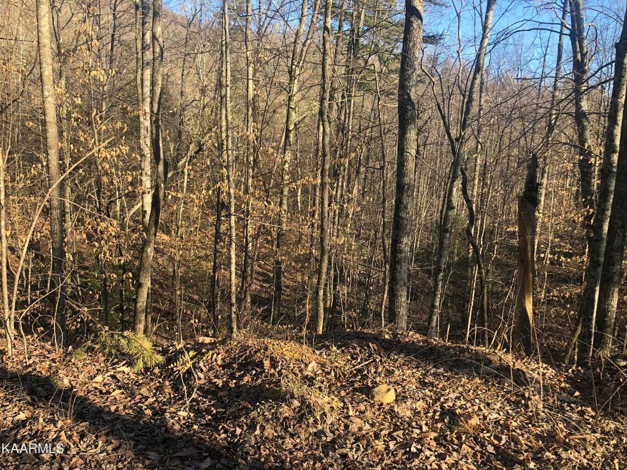 Lot 68 Yellowwood Drive - Photo 1