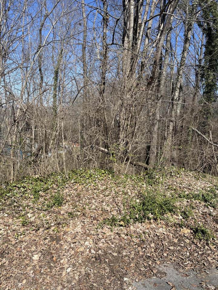 98 Geneva Circle - Photo 1