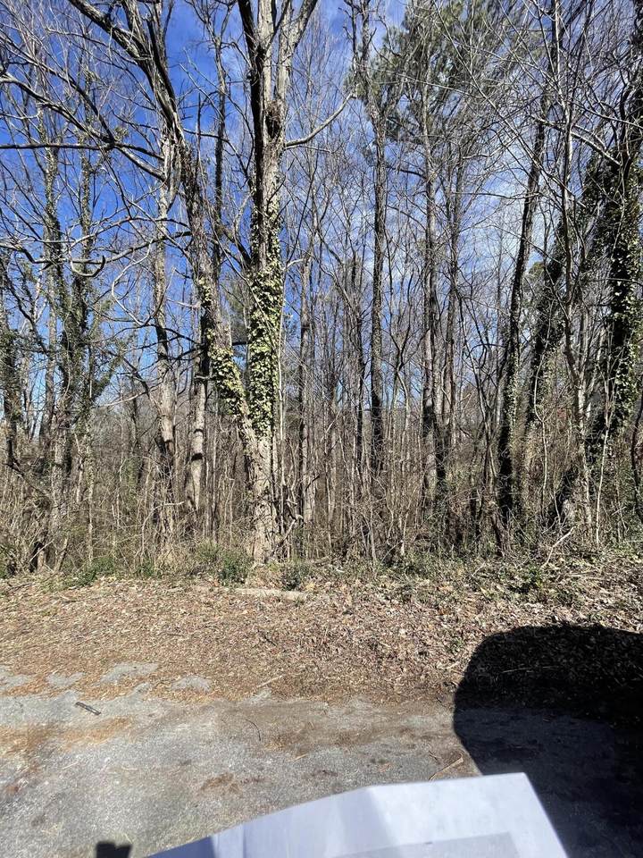 Lot 99 Geneva Circle - Photo 1