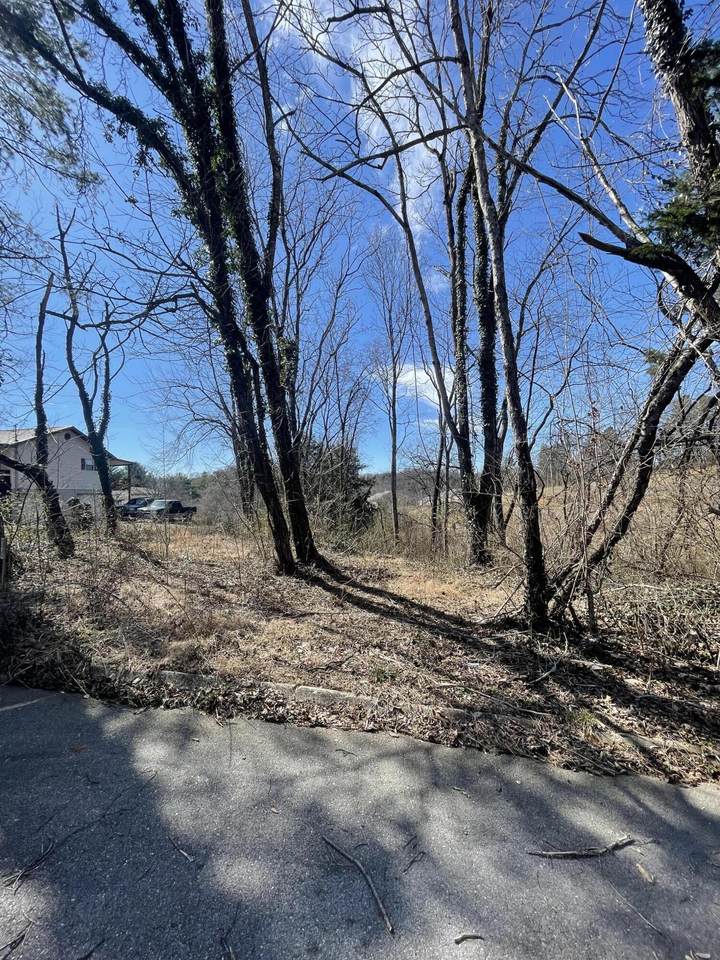 Lot 101 Geneva Circle - Photo 1