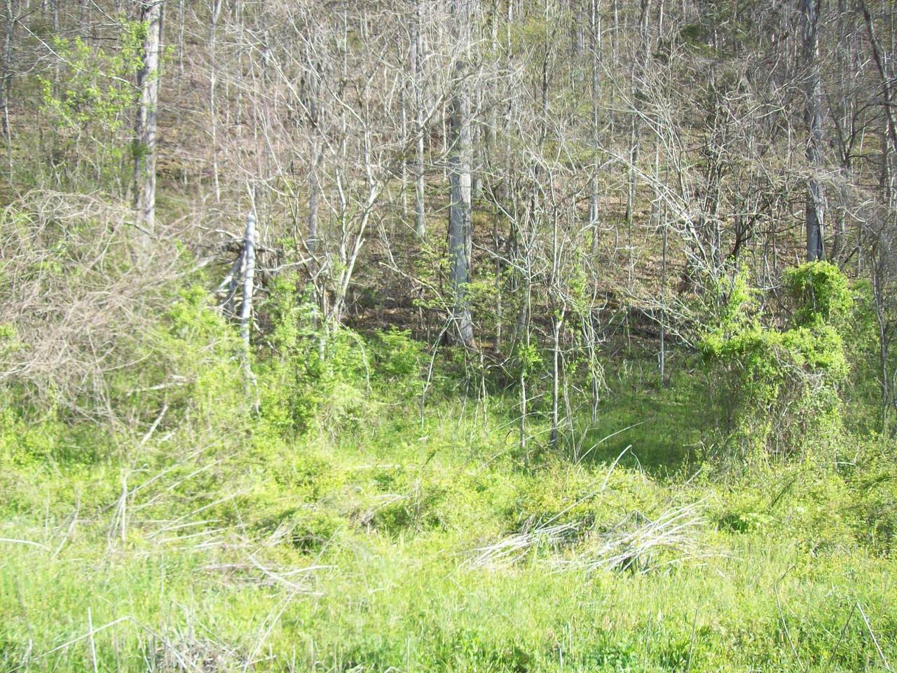 0 War Creek Road - Photo 1