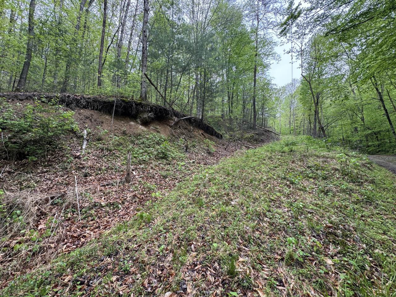 376 Summer House Hollow Road - Photo 1