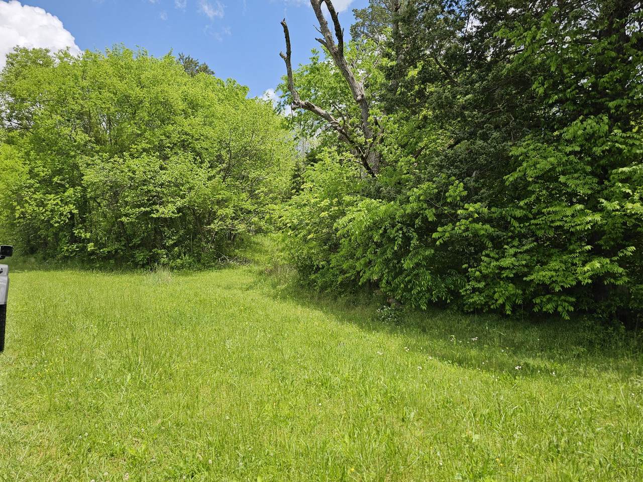 0 Long Creek Rd - Photo 1