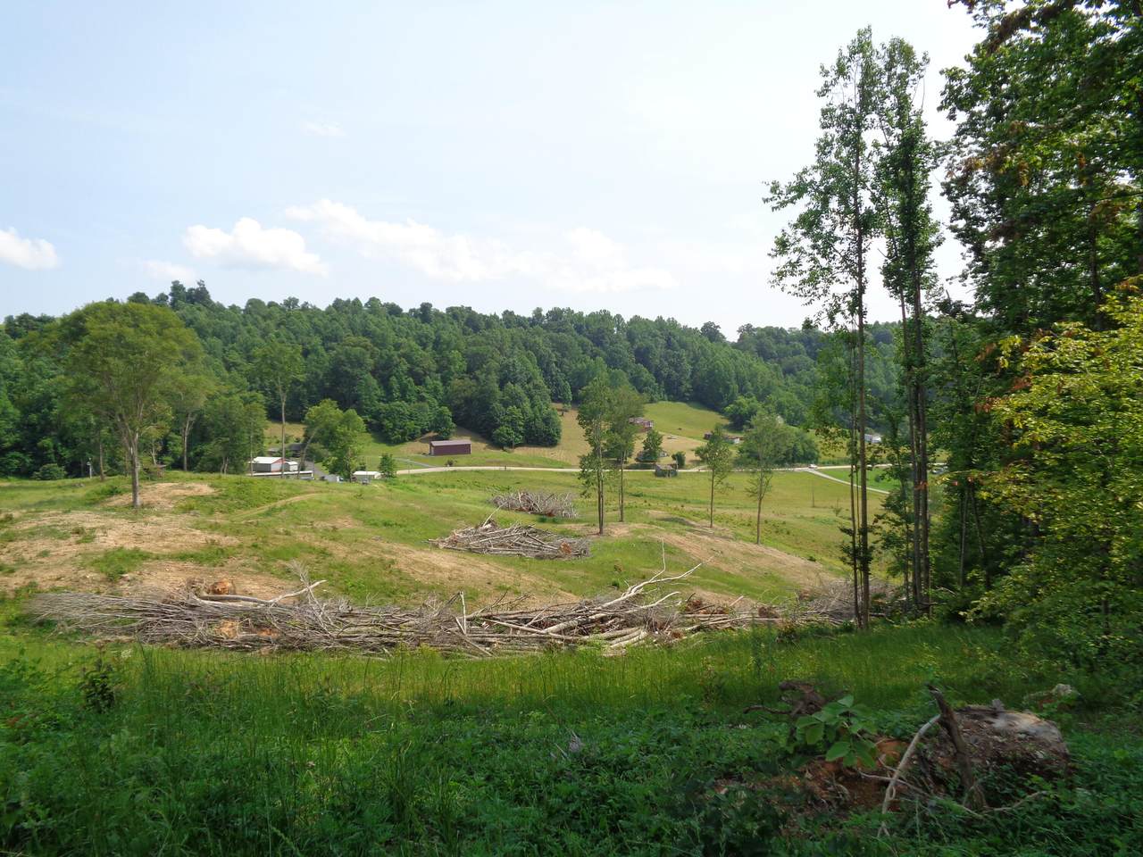 3877 Hwy 66 - Photo 1