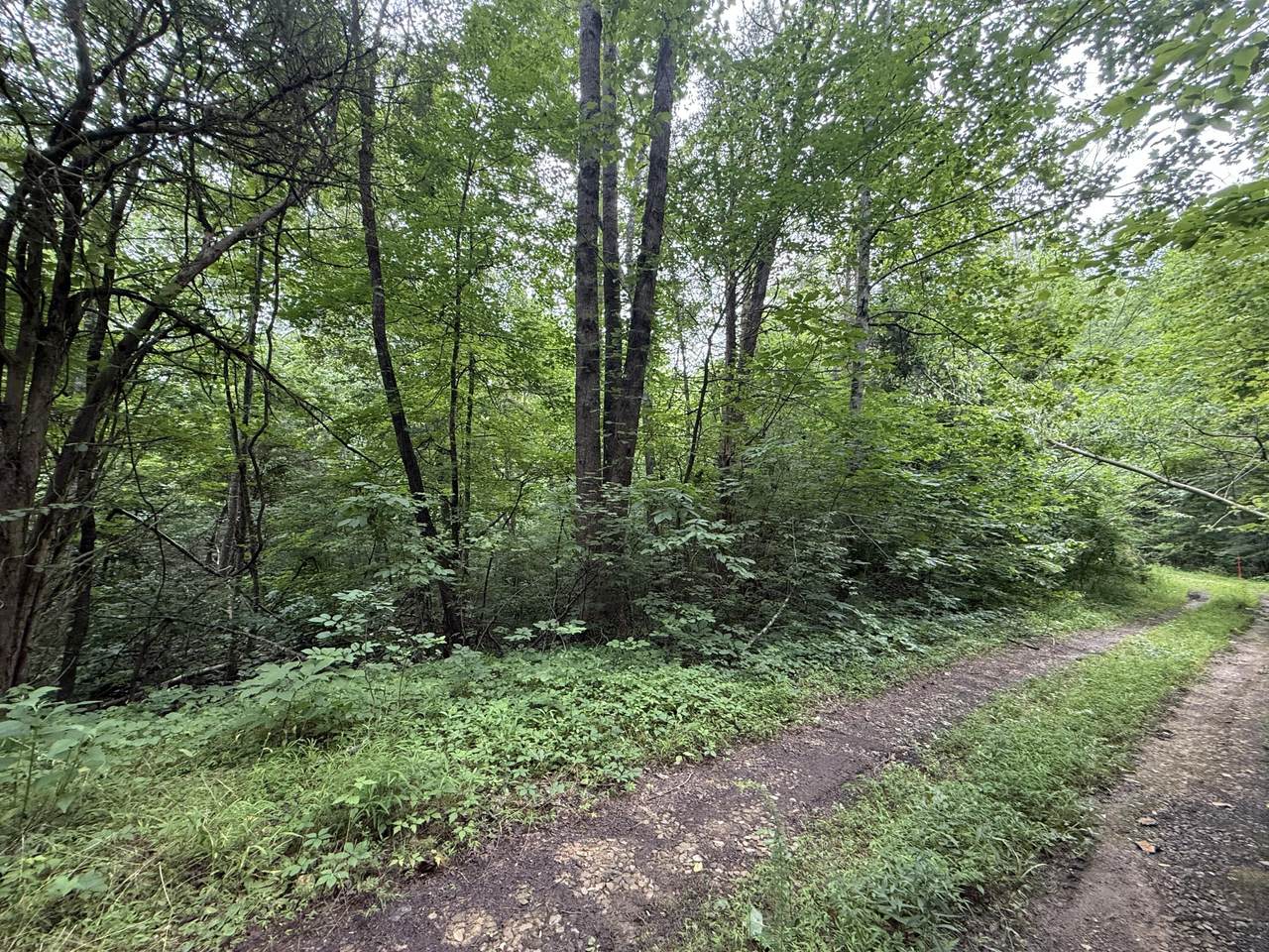 https://bt-photos.global.ssl.fastly.net/lakeway/1280_boomver_1_708003-2.jpg