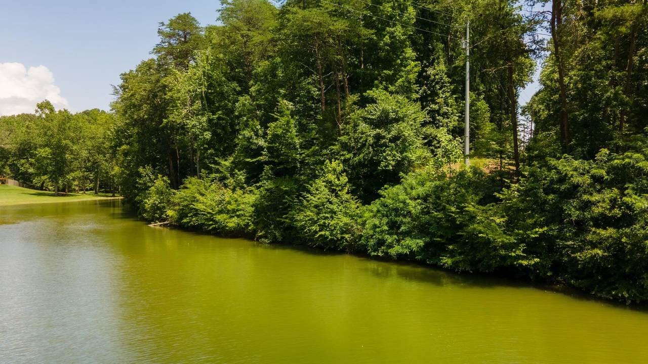 https://bt-photos.global.ssl.fastly.net/lakeway/1280_boomver_1_708034-2.jpg