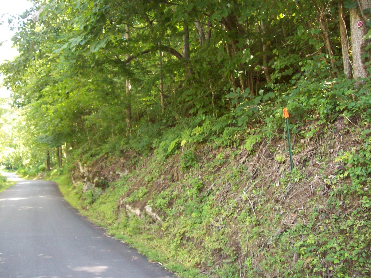 https://bt-photos.global.ssl.fastly.net/lakeway/1280_boomver_1_708570-2.jpg