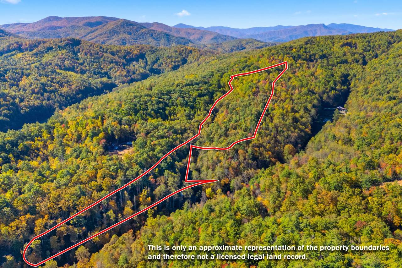 5.37 Acres Reece Hollow Road - Photo 1