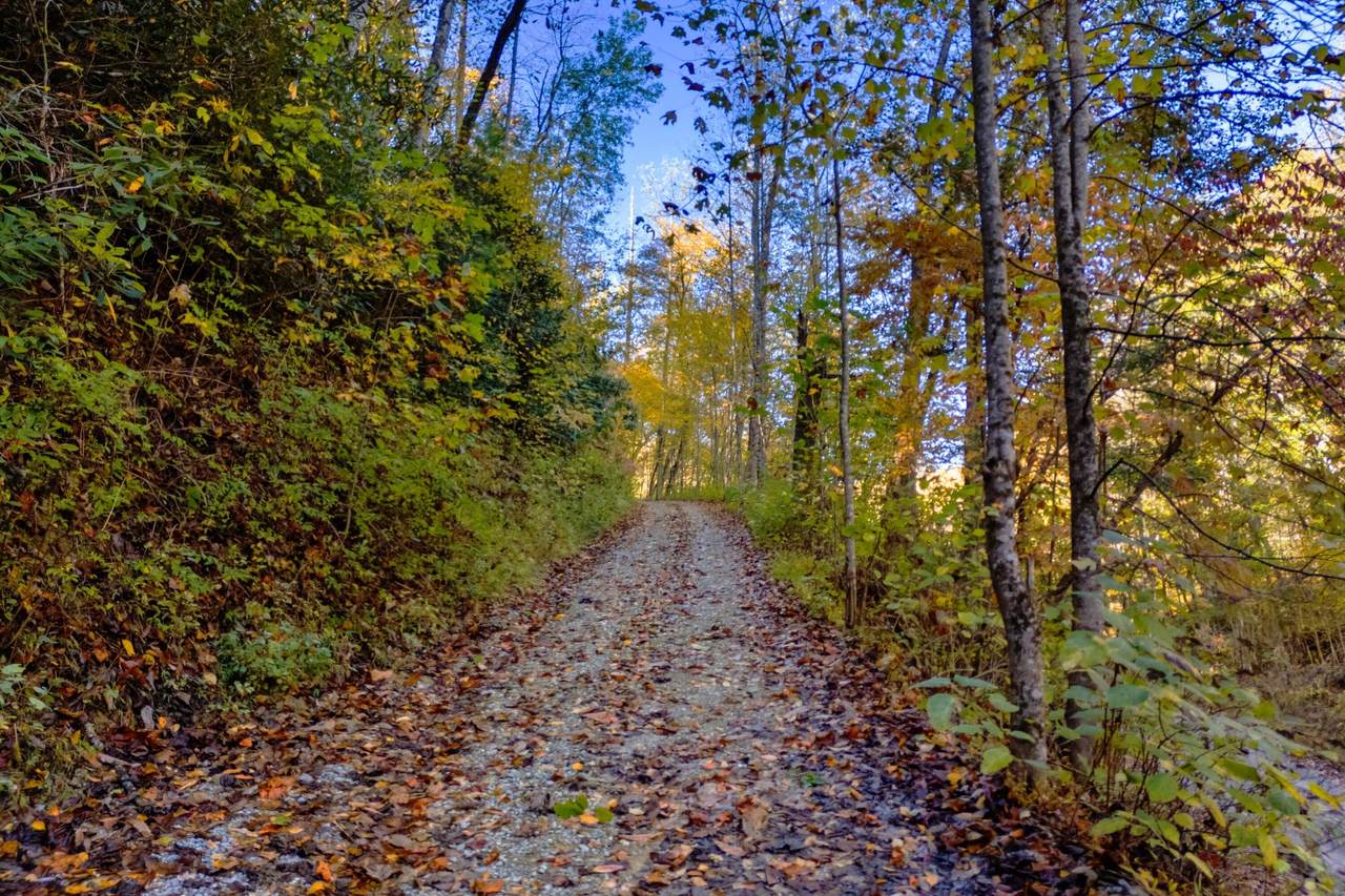 https://bt-photos.global.ssl.fastly.net/lakeway/1280_boomver_1_711831-2.jpg
