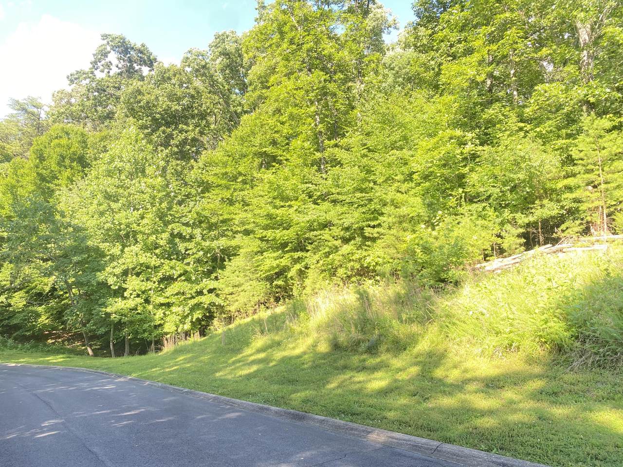 Lot 12 Cove Springs Drive - Photo 1