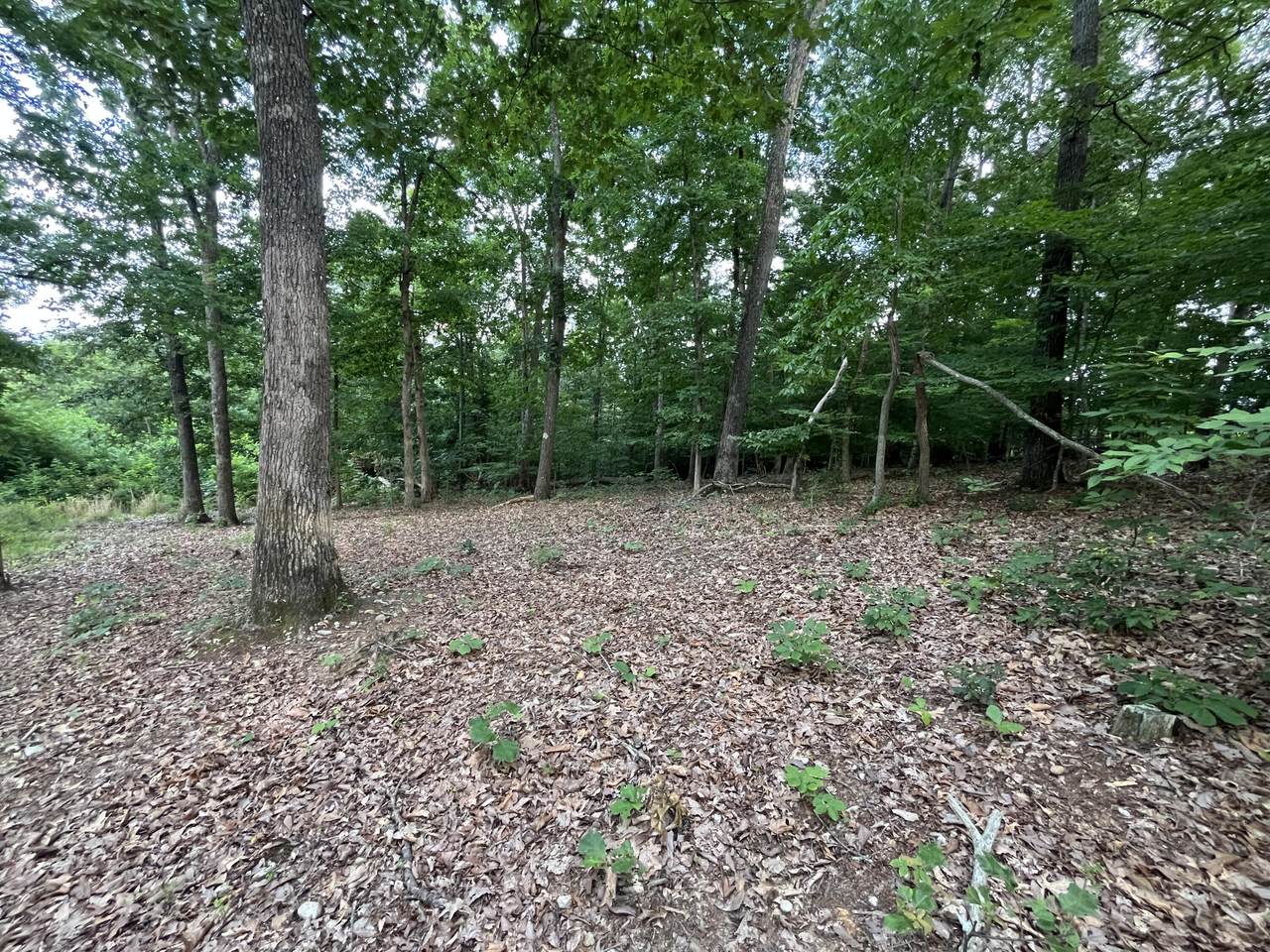 3278 Hillside Road - Photo 1