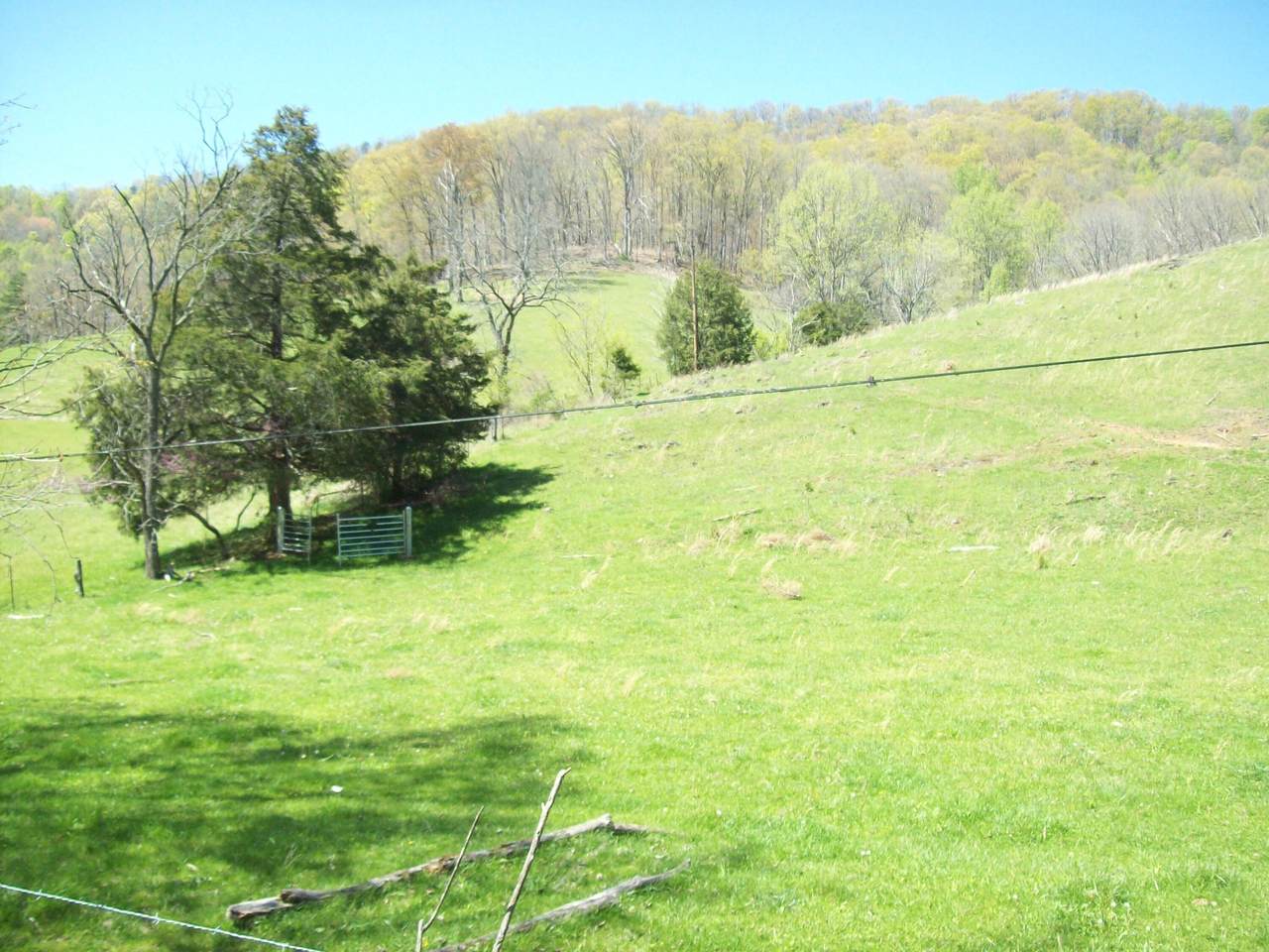 2812 Rebel Hollow Road - Photo 1