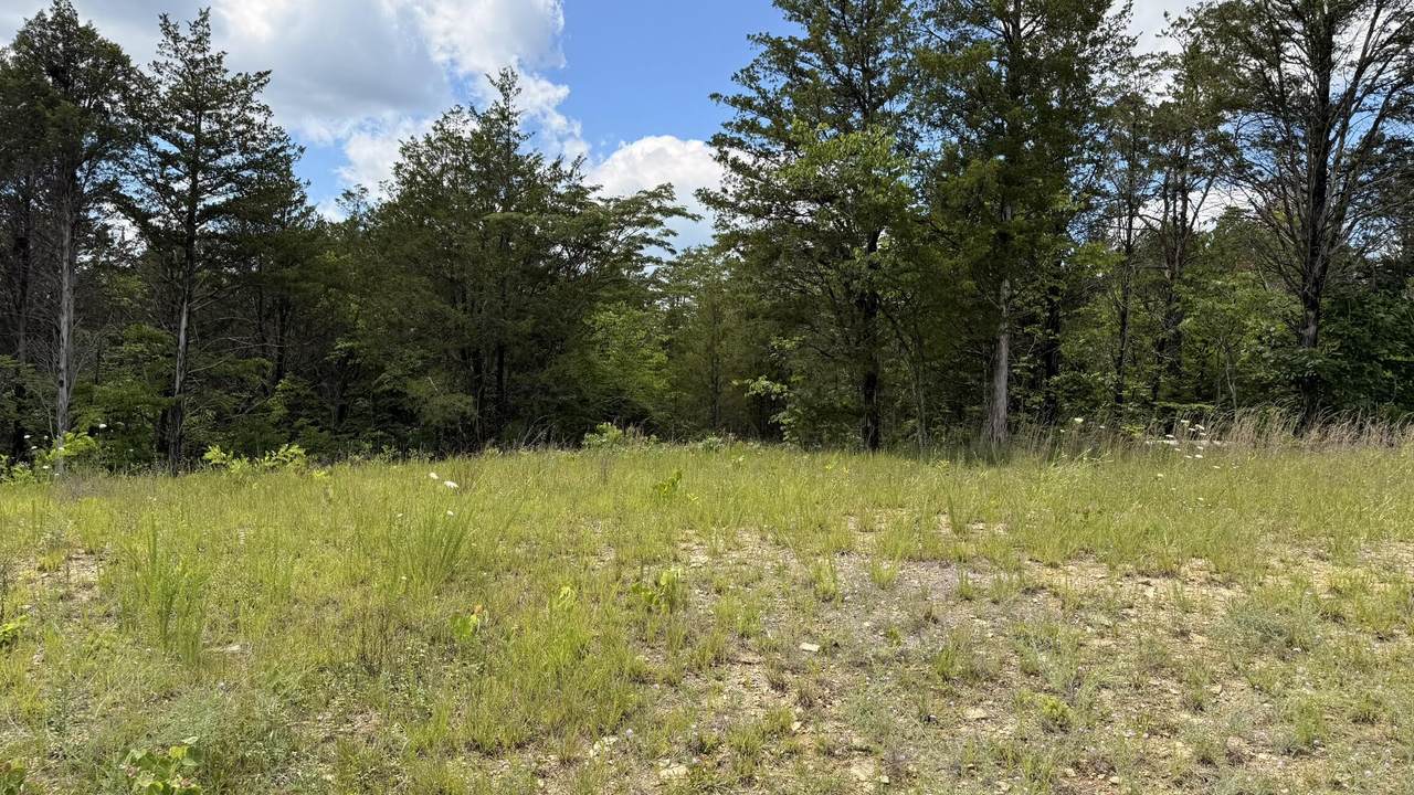 Lot 2 Walker Cemetary Road - Photo 1