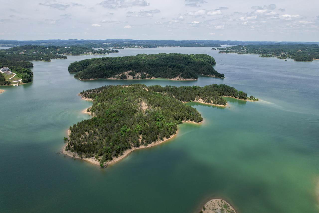 0 Douglas Lake Is - Photo 1