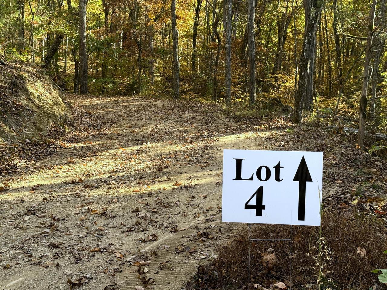 Tract 4 Topaz Way - Photo 1