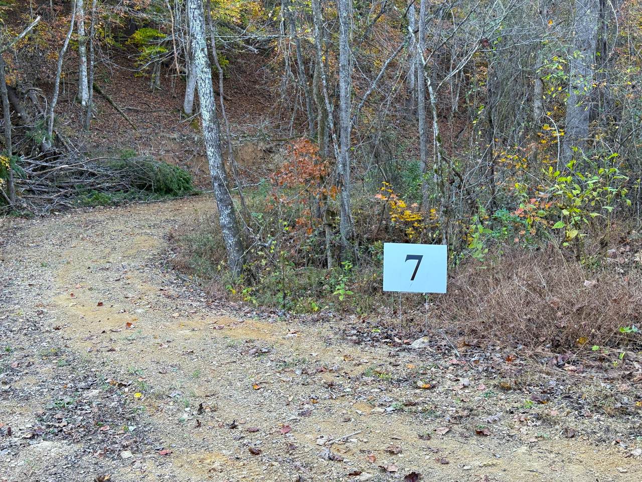 Tract 7 Topaz Way - Photo 1