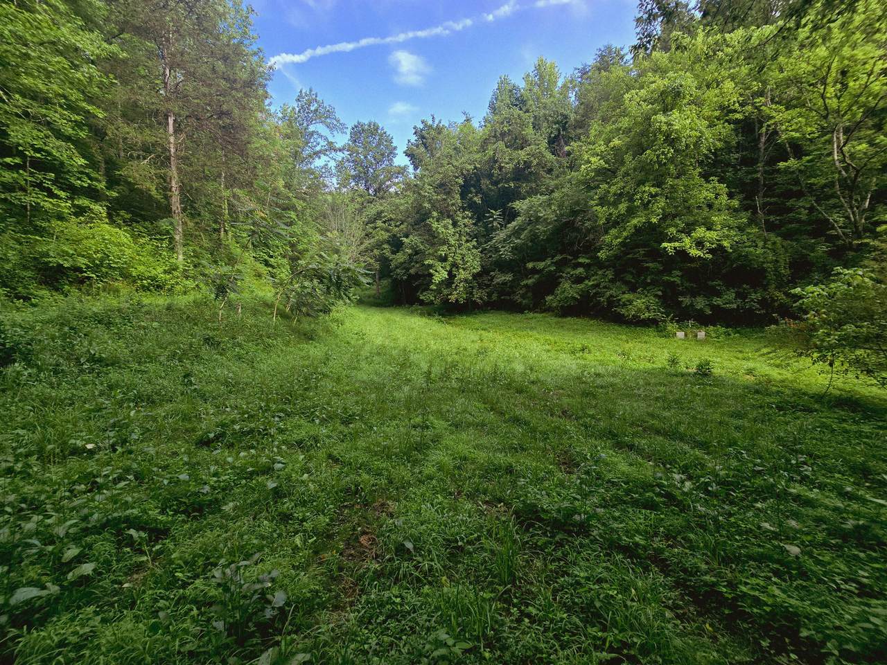 455 Highway 25E - Photo 1