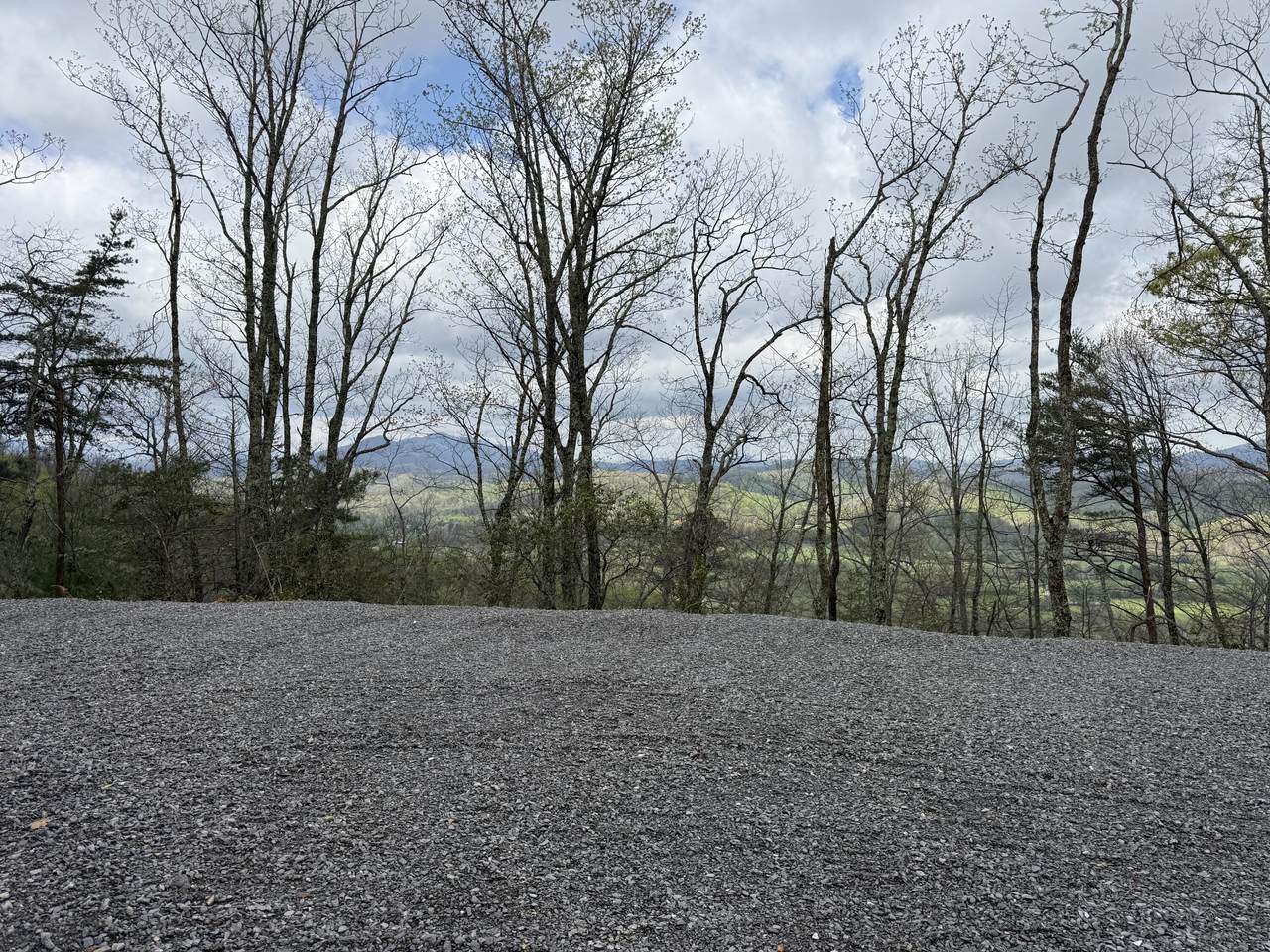 3.93 acres Green Forest Road - Photo 1