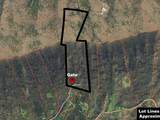 902 Charlie Dalton Lane - Photo 2