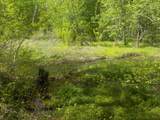 0 Steve Brown Road - Photo 1