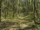 0 Steve Brown Road - Photo 10