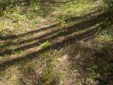 0 Steve Brown Road - Photo 11