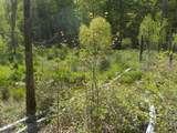 0 Steve Brown Road - Photo 14