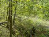 0 Steve Brown Road - Photo 15