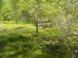 0 Steve Brown Road - Photo 16