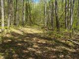 0 Steve Brown Road - Photo 18