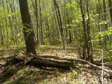 0 Steve Brown Road - Photo 19