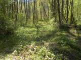 0 Steve Brown Road - Photo 2
