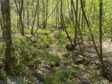 0 Steve Brown Road - Photo 20