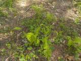0 Steve Brown Road - Photo 22