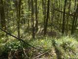 0 Steve Brown Road - Photo 3