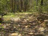 0 Steve Brown Road - Photo 7