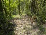 0 Steve Brown Road - Photo 9