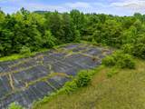 1500 Davy Crockett Pkwy Parkway - Photo 4