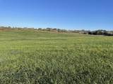 Tract 2 Hunter Rd - Photo 2