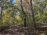 00 Lot 1215 Iron Gate Drive - Photo 3